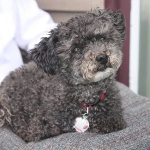 Meet your Posher, Marlene